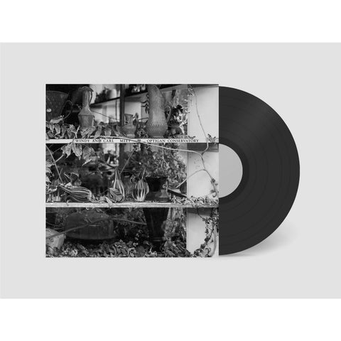 Windy and Carl Meet Optigan Conservatory (Vinyl)