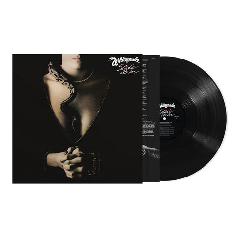 Slide It In (Vinyl)