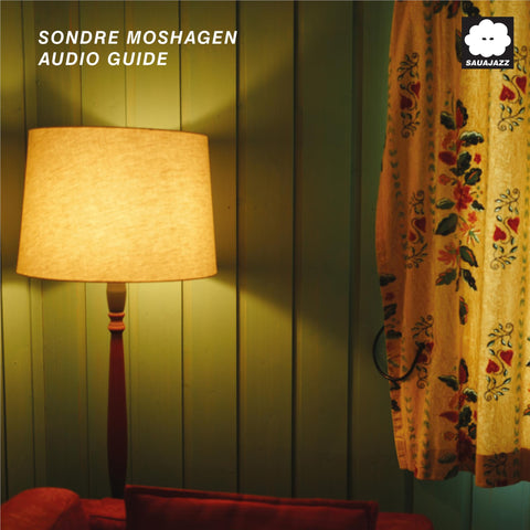 Audio Guide (Vinyl)