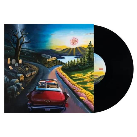 I Don't Wanna Say Goodbye (Vinyl)