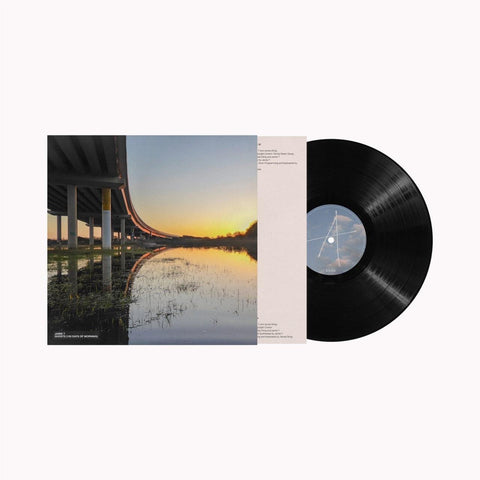Ghosts (100 Days Of Morning) (Vinyl)