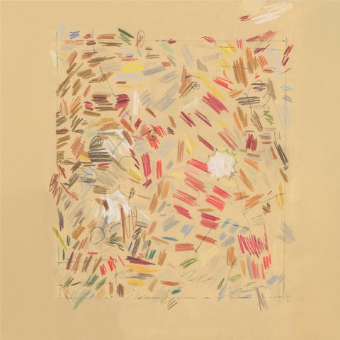 Edge Conditions (Vinyl)