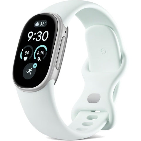 Google Fitbit Edge (Fog/Polished Silver)