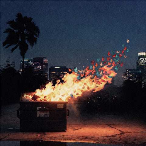 Catch My Butterfly (Vinyl)