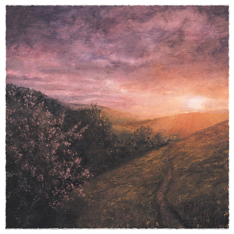 Morning of May (Vinyl)
