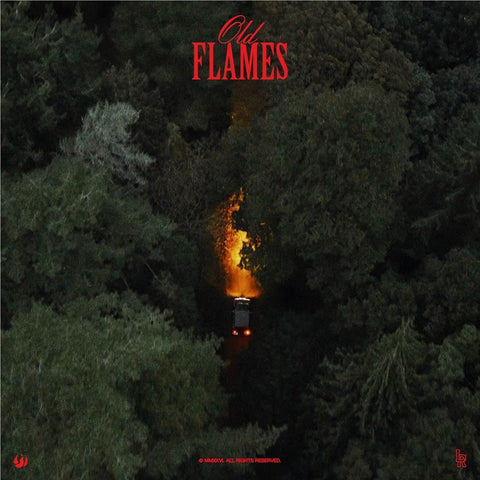 Old Flames (Vinyl)